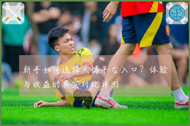 新手如何选择火博平台入口？体验与收益的真实对比评测